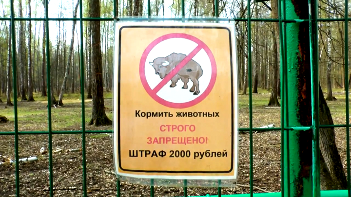 Приокско-Террасный биосферный заповедник